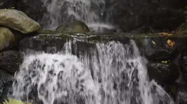 Ormandaki kayalardan güzel küçük bir şelale.