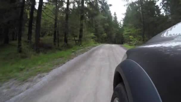 Arabanın Yanından Yeşil Doğayla Çevrili Bir Yol Manzarası — Stok video