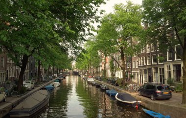 Amsterdam 'da demirlemiş tekneleri olan bir kanaldaki ağaçların yansıması.