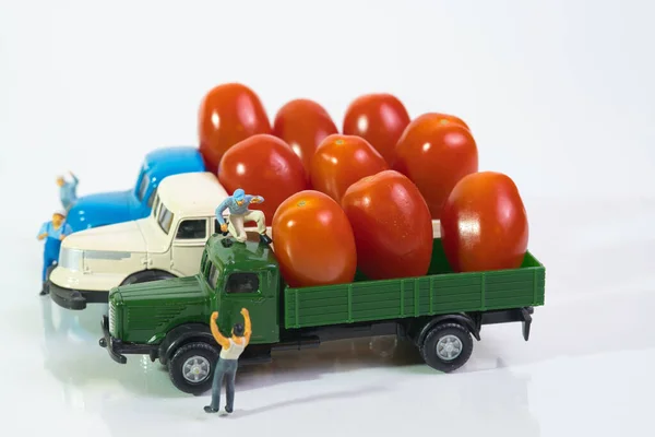 various trucks loaded with ripe tomatoes, oblique top view. White background, concept: healthy raw food