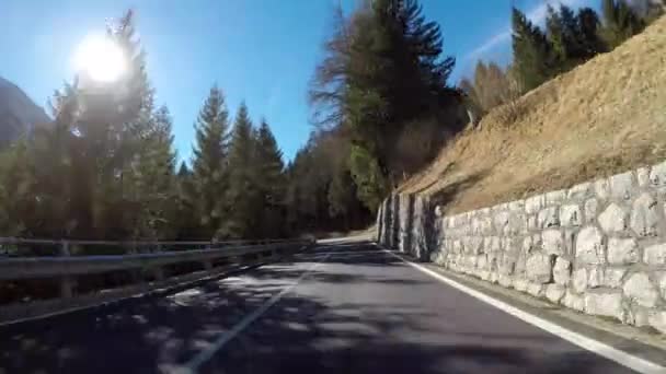 Bir Arabanın Camından Yeşil Doğayla Çevrili Bir Yol Manzarası — Stok video