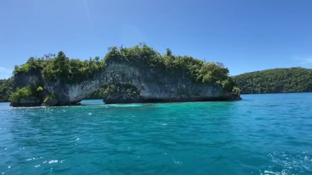 Belas Imagens Vista Paisagem Marinha Com Falésias Cobertas Árvores Verdes — Vídeo de Stock