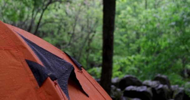 Pluie Tombant Sur Tente Gouttes Rosée Sur Tente Camping — Video