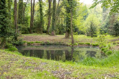 Macaristan 'ın Zalaegerszeg kentindeki Csacs Botanik Bahçesi (Csacsbozsoki Botanik Bahçesi)