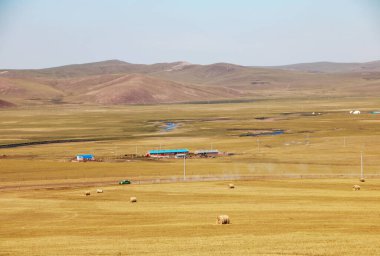 Bir saman tarlası manzarası