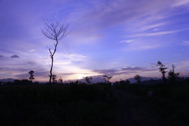 Dağlarda gün doğumunun güzel bir görüntüsü