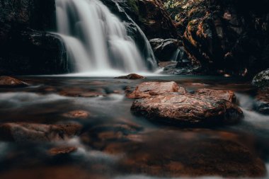 Vahşi doğayla çevrili bir ormanda güzel bir şelalenin manzarası.