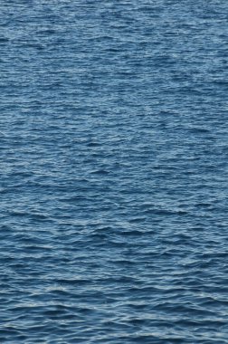 Mavi Su Atlantik Okyanusu 'nda Doku Dalgaları