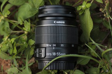 Yeşil yaprakların arka planında siyah bir top merceği