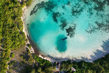 Güneşli bir günde kumsalda ağaçlarla dolu berrak deniz manzarası.
