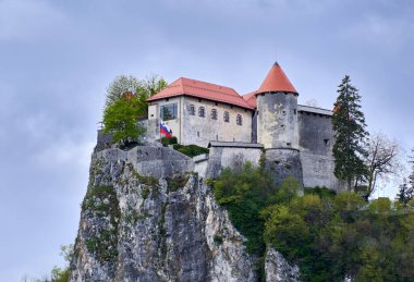 Slovenya 'nın Bled Gölü üzerindeki tarihi bir şatonun manzarası