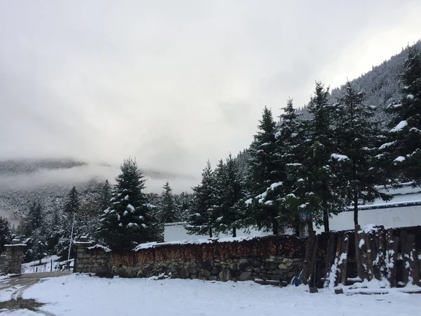 Bulutlu Bir Gökyüzünün Altında Karla Kaplı Bir Ormanın Manzarası — Stok fotoğraf