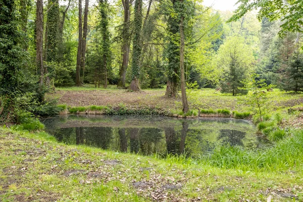 Arboreto Csacs Csacsbozsoki Arboretum Zalaegerszeg Hungria — Fotografia de Stock