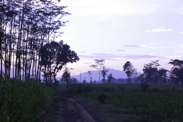 Dağlarda gün doğumunun güzel bir görüntüsü