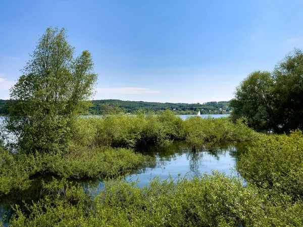 Scenic View Green Shore Hennesee Lake Germany Sunny Day —  Fotos de Stock