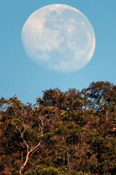 Svislý Dech Beroucí Pohled Bílý Měsíc Zapadající Ráno Modré Obloze — Stock fotografie