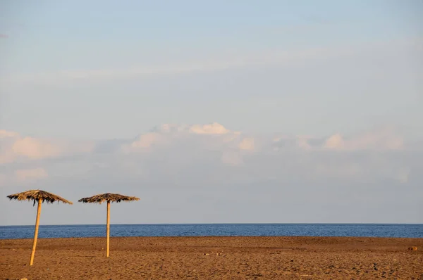 テネリフェ島のカナリア諸島のスペインのヨーロッパのビーチ パラソル — ストック写真