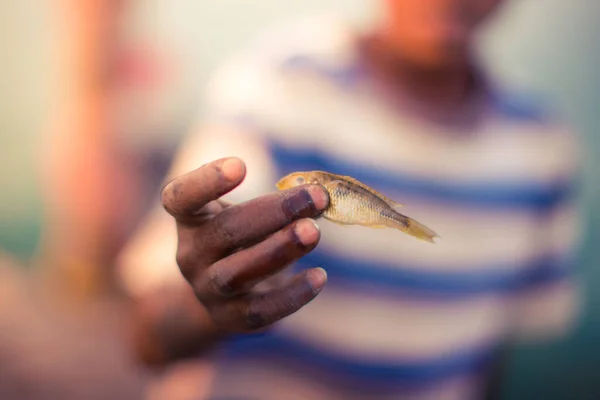 Shallow Focus Shot Male Hand Holding Petrochromis Fish Blurred Background — Foto de Stock