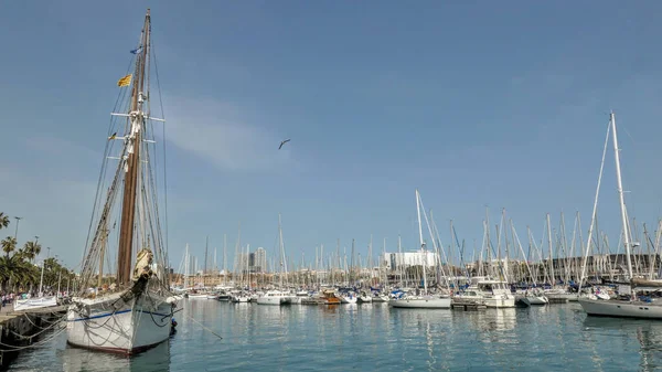 Beautiful Shot Port Rambla Mar Barcelona Spain —  Fotos de Stock