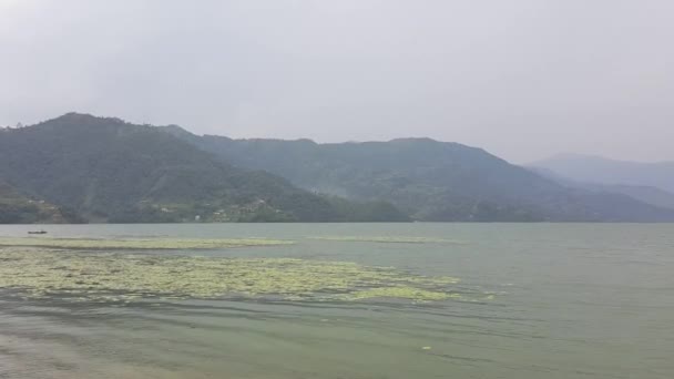Sjölandskapet Phewa Nepals Näst Största Sötvattensjö — Stockvideo