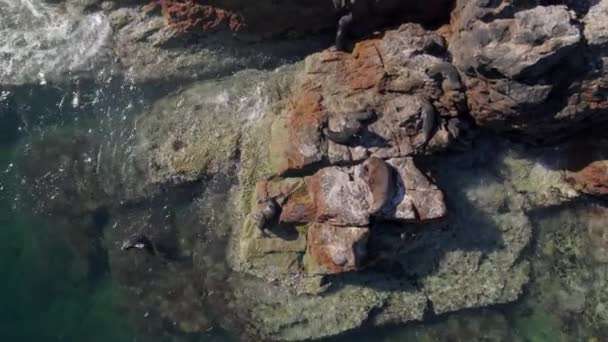 Een Langzame Luchtbeweging Rond Cortez Zee Nabij Rotsachtig Strand Met — Stockvideo