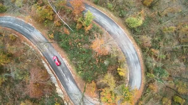 Uma Vista Aérea Carros Dirigindo Uma Estrada Curvilínea Uma Floresta — Vídeo de Stock