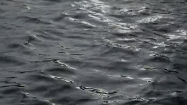 Κοντινό Πλάνο Της Επιφάνειας Του Νερού Την Αντανάκλαση Του Ηλιακού — Αρχείο Βίντεο
