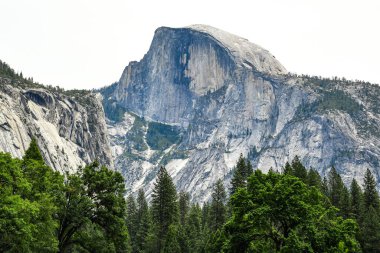 Yarım Kubbe Yosemite Vadisi 'nin üzerinde yükseliyor ve zengin yeşil orman yukarı bakıyor..