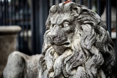 Dallas 'ta eski bir gri aslan heykelinin yakın plan fotoğrafı. Geçmişi bulanık.