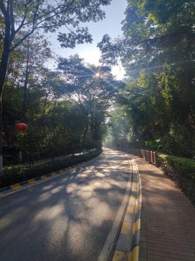 Güneşte parlayan bir caddenin dikey görüntüsü.