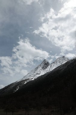 Bulutlu bir gökyüzünün altında karla kaplı bir dağın dikey görüntüsü.