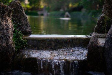 Ormanda, ormanda ve taş yüzeylerde akan bir nehrin manzaralı bir görüntüsü.