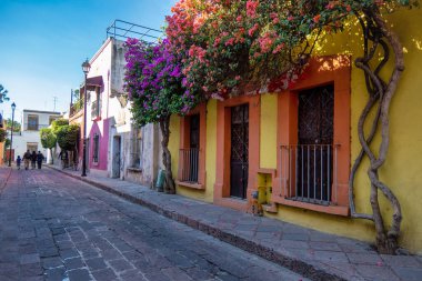 Queretaro, Meksika 'da pencereleri ve begonvilleri olan bir köy caddesi.