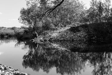 Mavi gökyüzünün altındaki yeşil ağaçların ve otların gri ölçekli nehir manzarası