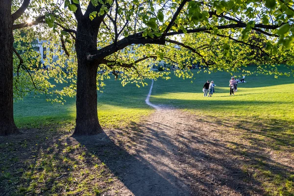 Torshovparken Över Oslo Torshov Sinsen Oslo Norge — Stockfoto