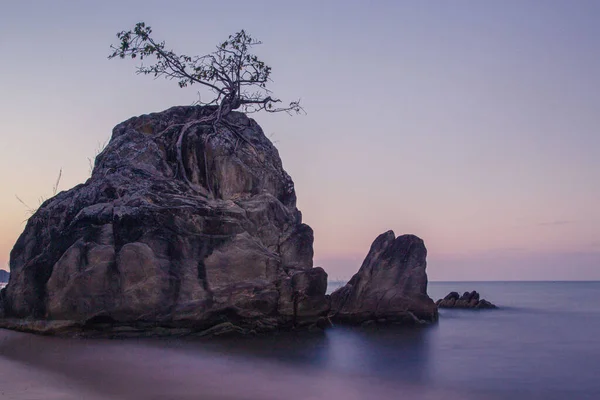 Beautiful Scene Tree Huge Rock Tranquil Majestic Water Malawi Lake — Stock Photo, Image