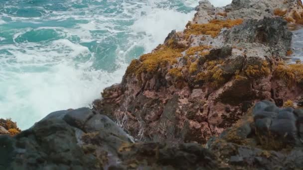 Filmagem Câmera Lenta Ondas Queda Nas Rochas Makaluapuna Point Maui — Vídeo de Stock