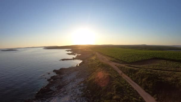 Eine Luftaufnahme Einer Landschaft Der Nähe Eines Meeres Tag — Stockvideo