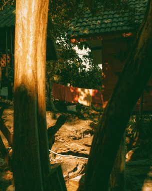 A vertical shot of tree trunks in the background of hanging linen in the daytime.