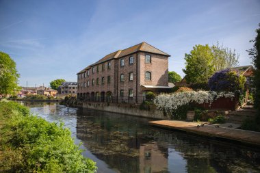 İngiltere 'de yaz başında Chichester Kanalı' nın güzel manzarası
