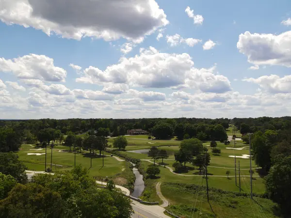 Beautiful View Park Trees Cloudy Sky Background — Stockfoto