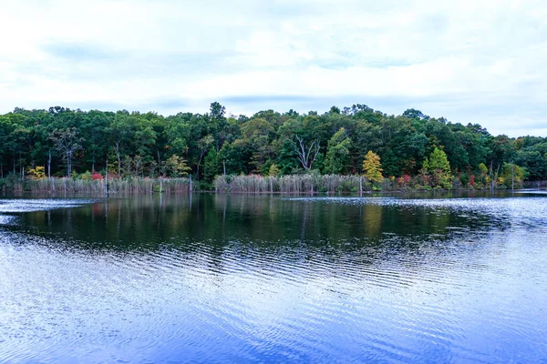 Beautiful Landscape Lake Surrounded Green Vegetation — Stock Photo, Image