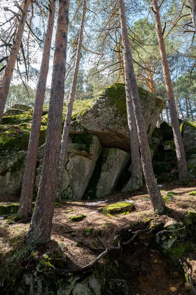 Una Formazione Rocciosa Sotto Pini Una Foresta Montagna Madrid Spagna — Foto Stock