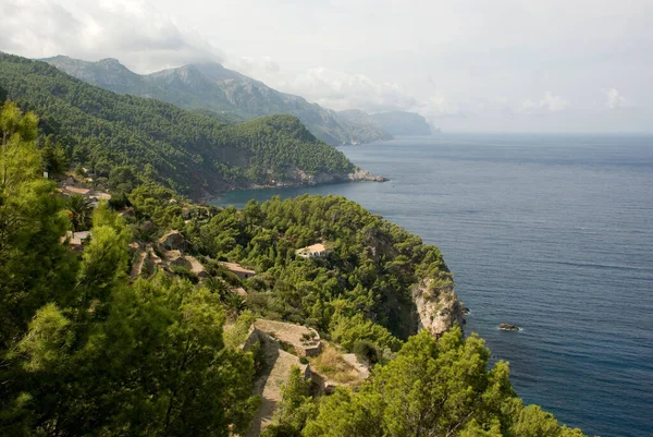 İspanyol adası Mallorca, Baleares 'in yeşil manzarası