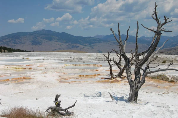 Hot Springs Yellowstone Looks Snowy Island — Zdjęcie stockowe