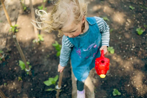 A closeup of the blonde child holding a red toy watering pot in the garden. Selected focus.
