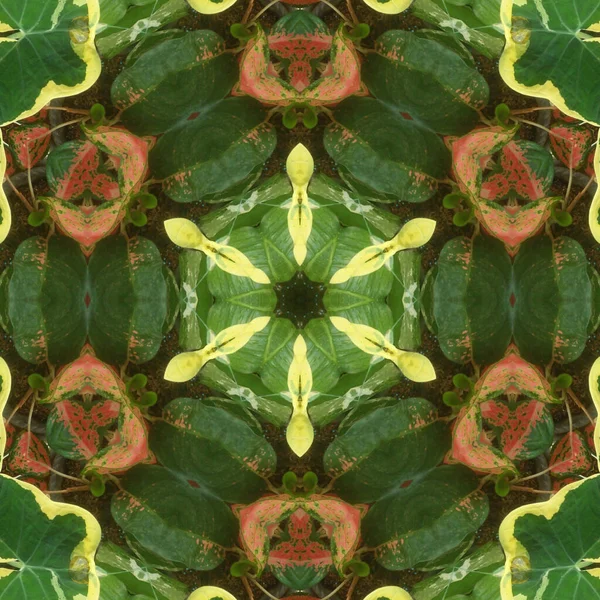 Krásný Trippy Kaleidoskopický Květinový Vzor Zelené Hnědé Béžové Barvy — Stock fotografie