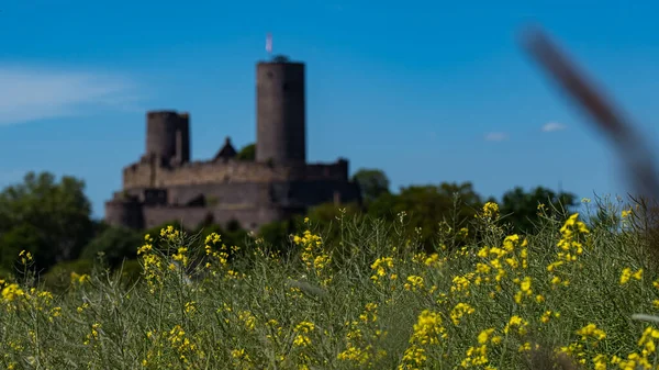 德国黑森州韦特劳克里斯的一个美丽的景观 带着黄色花朵的蒙森贝格城堡 — 图库照片