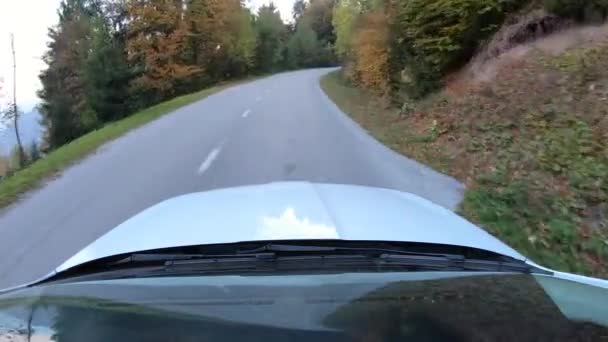 Pov Carro Que Move Uma Estrada Rural Estreita — Vídeo de Stock