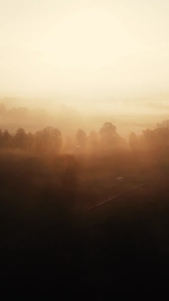Eine Luftaufnahme Der Malerischen Bewaldeten Landschaft Bei Sonnenaufgang — Stockvideo
